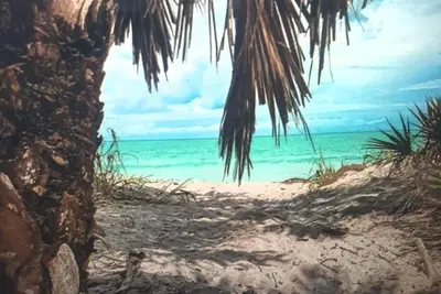 Image de location, location Dream Vacation on Beautiful Venice Island