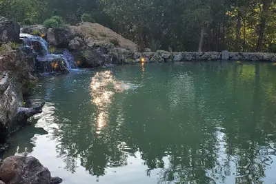 Image de An Oasis Among the Redwoods