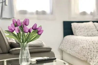 Image de Studio-Budget-Sdb privée avec douche-Vue ville-Picacho Bajo