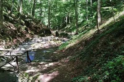 Image de 5 mins from city center!