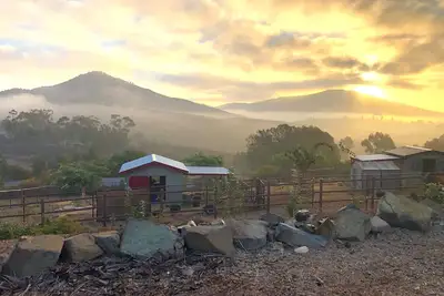 Image de Farm Sanctuary Stay 20 min to the Beach. On 2. 5 acres