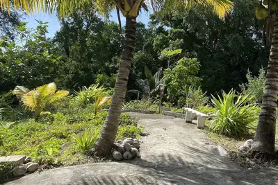 Image de Le jardin tropical