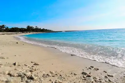 Image de Exquisite Penthouse Condo Pool, Beach, Jacuzzi, Lagoon, Golf, great location