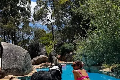 Image de A Paradise for Dogs and a Magical Place for Humans