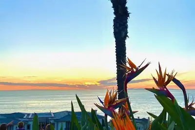 Image de Coastal Getaway - A Wave From It All