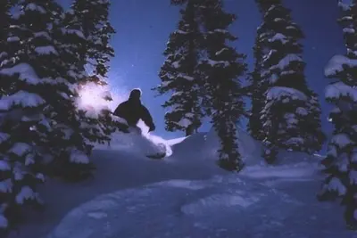 Alta\/Snowbird Area Private Ski Home, 9 miles to Resorts