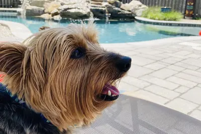 Image de Ocean Block Oasis- Heated Pool and Spa-1 minute walk to beach!