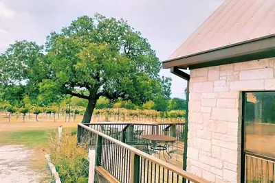 Image de Gorgeous Vineyard Home in the middle of the Vines!