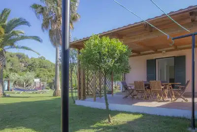 Image de Albero del Pepe 2 with lush garden