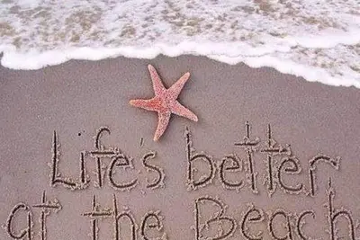 Image de You'Ve Found It! The Beach Awaits!