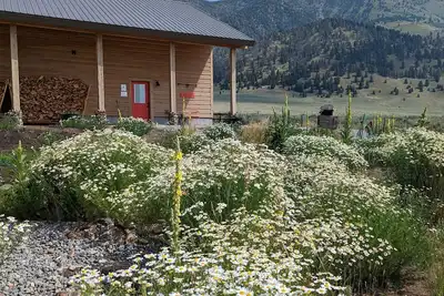 Image de Cozy 5-Star lakeview cabin.