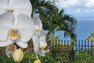 Image de Breathtaking Island Views, Excellent Proximity to Major Beaches and More