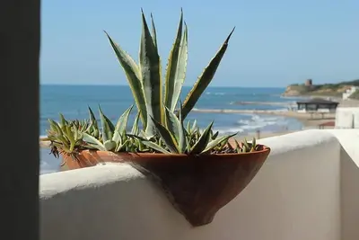 Image de Studio, front de mer, terrasse, accès privé à la plage (Orchidea)