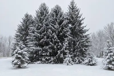 Image de Relaxing Country Escape Close to Ski Resorts