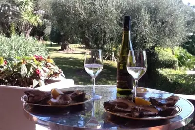 Image de Perle rare, villa toit, 150m2 d’espace de Vie sur parc, gardien clim, pisc, pkg,