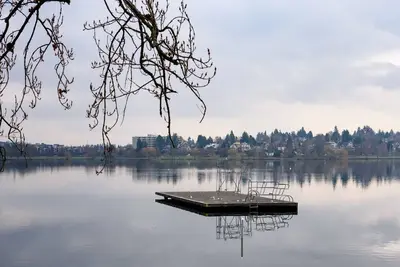 Kabino: Mini Modern Tiny Home Heart of Green Lake Pet Friendly WiFi Loft up Ladder plus Sleeper Sofa
