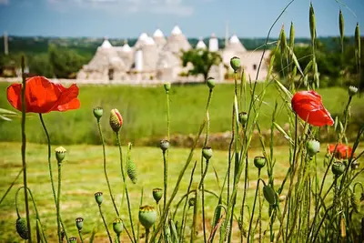 Image de Dell'Aia: 1800s trullo house with garden view and ancient farmyard