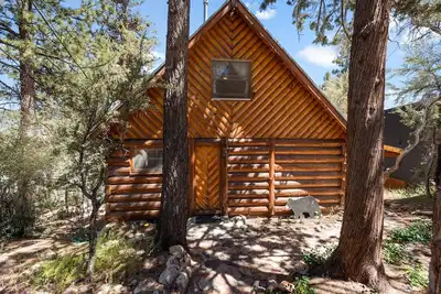 Image de Cozy, Beautiful, and Quiet Log Cabin! Dog friendly