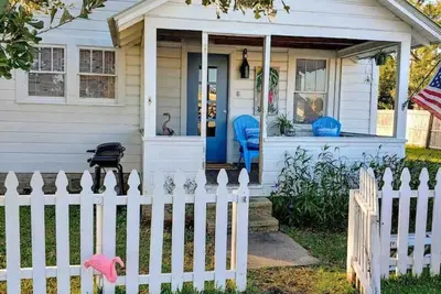 Image de Le Flamingo Club, bébés de fourrure accueillent