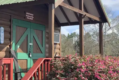 Image de The Tiny Cabin! Lake Seminole! Waterfront! Fishing! Nice dock with lift!
