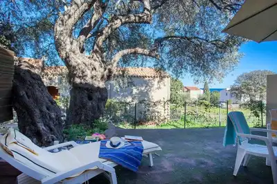 Image de Domaine Bollaccia - Casa Caruchettu