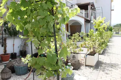 Image de Vacation home near the sea bjt