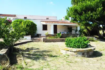 Image de Adorable house surrounded by greenery