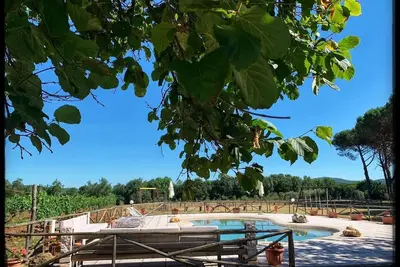 Image de Farmhouse With Pool For Family Groups For Exclusive Use