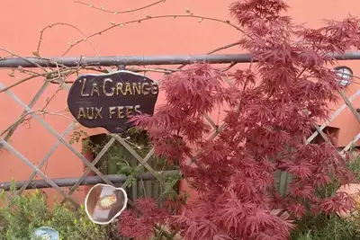 Image de Foret studio trés coquet en rez de chaussée