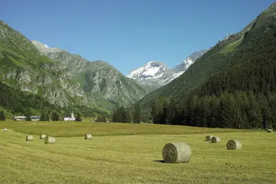 Image de La MaiZon du Bois - le Haut