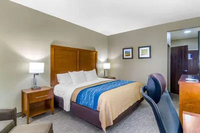 Image de Comfort Inn Ottawa - Standard Room 1 King Bed Non Smoking