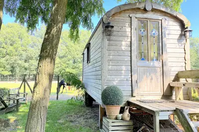 Image de Pipowagen unique avec hottub en option