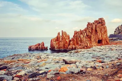 Image de The tortoliesa