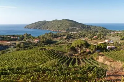 Prestigious Villa Francy in a panoramic position