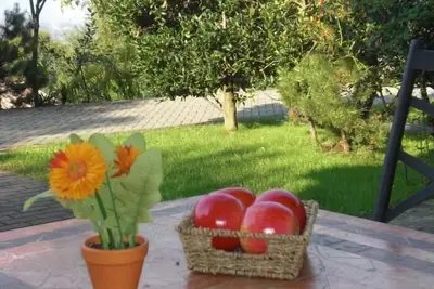 Image de 3-room apartment with children's pool, table tennis table and beautiful lake view