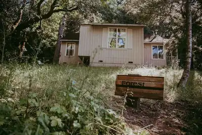 Image de Forest Cottage