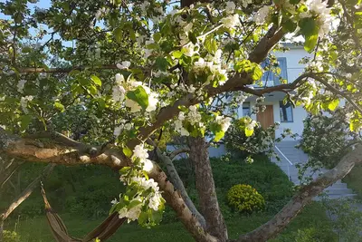 Villa with private garden 10 min from central Stockholm, 300 m from the sea