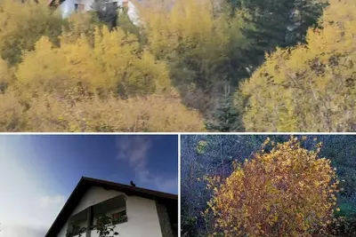 Image de Appartement de vacances Borzonasca pour 1 - 6 personnes avec 2 chambres Ă coucher - Appartement de v