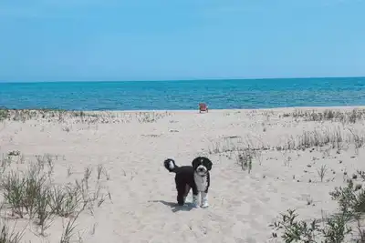Image de Lakefront Retreat: Escape to a Sandy Pet Friendly private Lake Huron Beach!