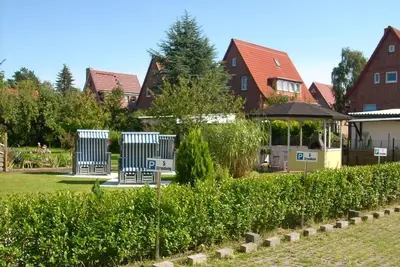 Image de Beach house, beach thistle