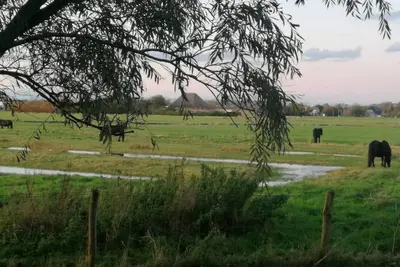 Image de Kleine Zwaan