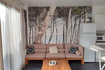 Image de Maison de vacances Ronce les Bains (6 personnes) Parking privé - jardin-terrasse
