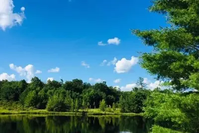 Image de Jim Thorpe minutes away! Cozy Cabin, Peace & Quiet in Private Lake Community!
