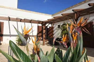 Image de Fico  Masseria Giulio