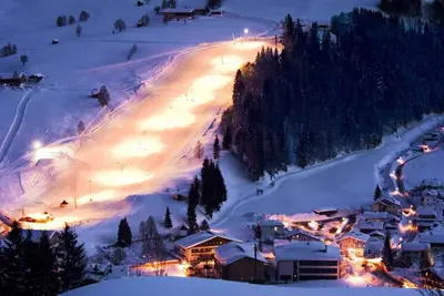 Image de Maison de vacances Ă Leogang avec sauna