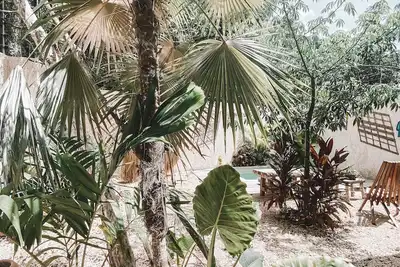 Image de Jungle house