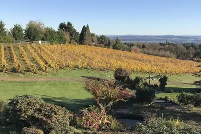 Image de Enjoy a weekend in Oregon's Amazing Wine Country