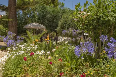 Image de Quinta Paraiso da Mia Two bedroom apartment
