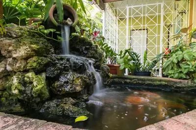 Image de Garden of Bliss#2, RedHill Fishpond, Kingston