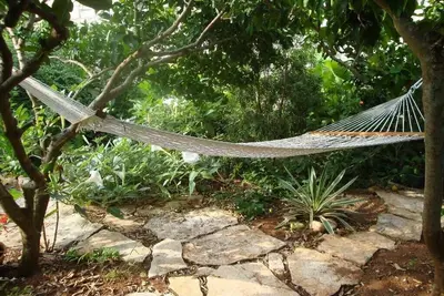 Image de Entire villa with seaview hosted by Perina